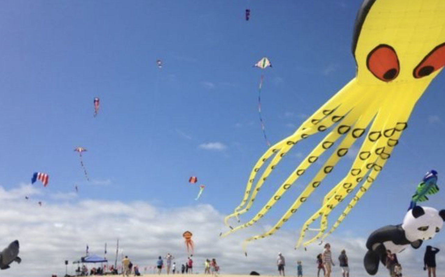 Rogallo Kite Festival